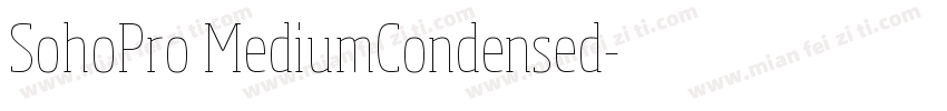 SohoPro MediumCondensed字体转换
